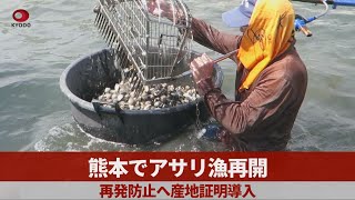 熊本でアサリ漁再開 再発防止へ産地証明導入