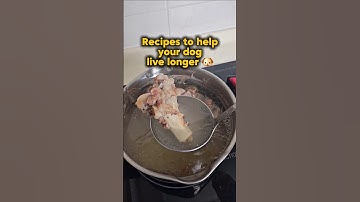 🐶 Easy bone broth for dogs recipe 🦴
