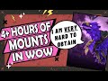 4 hours of facts about mounts to fall asleep to