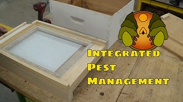 How to Make a Screened Bottom Board for a Beehive
