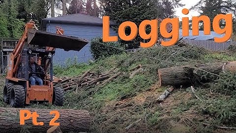 Logging with Dad Part 2 - Skid Steer Moving Big Logs