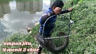 Daeng lala fan...mancing galatama lele || umpan jitu strike ikan keli monster