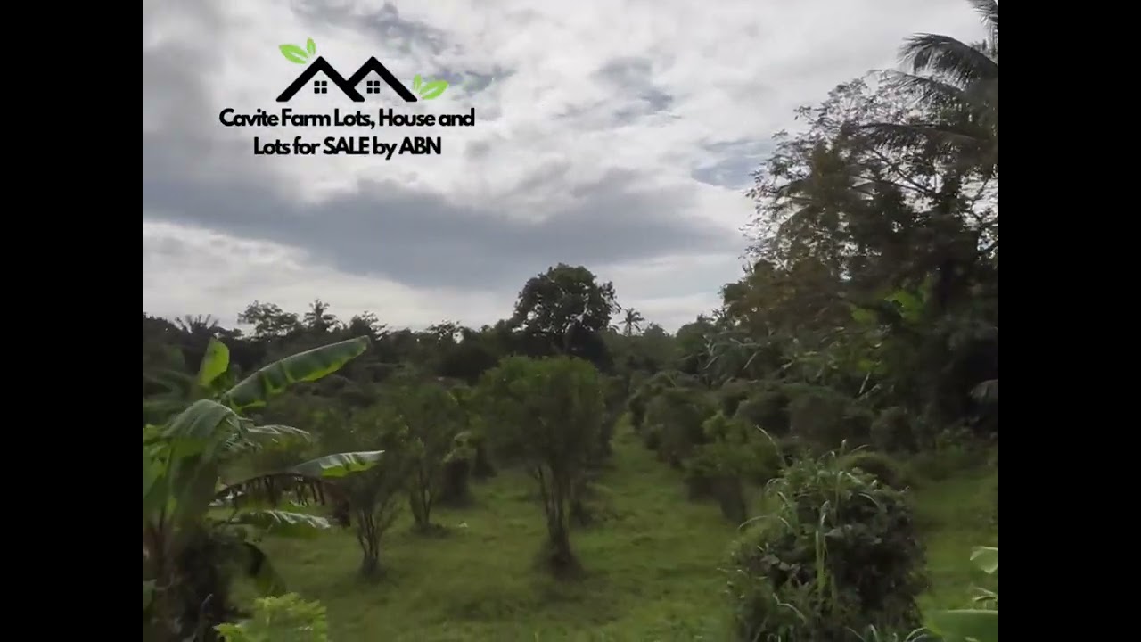 Farm Lot in Alfonso Cavite for Sale!