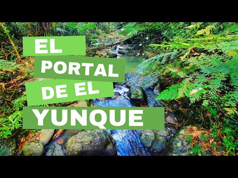 Puerto Rico Vlog: 2022 Newly Reopened El Portal de El Yunque, Hiking Trails and Exploring Rivers