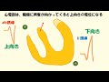 C-10 心電図 basic（音声あり）