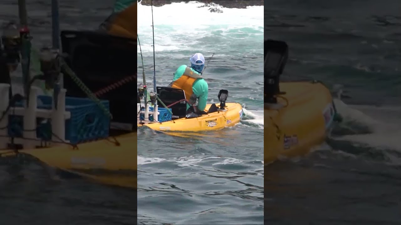 Kayak Angler FLIPPED By HUGE Fish Fishing Fail Shorts