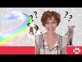 What Is The Rainbow Bridge Pet Psychic Danielle MacKinnon