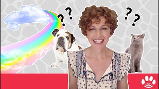 What is the Rainbow Bridge | Pet Psychic Danielle MacKinnon