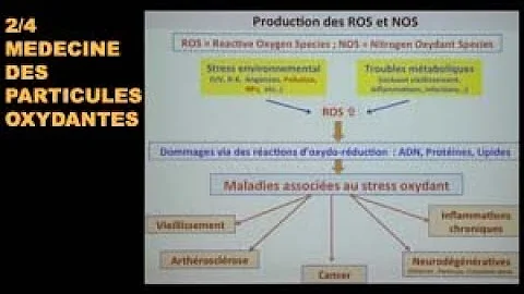 MEDECINE DES PARTICULES OXYDANTES - 4 VIDEOS Hqdefault