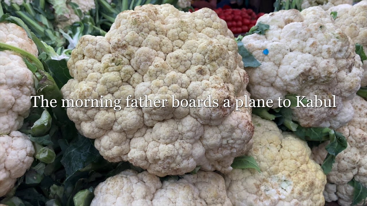 Blink & You'll Miss Us | A Sequence of Four Film Poems