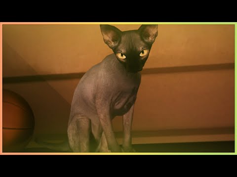 ГДЕ НАЙТИ КОШАЧИЙ КОРМ И КАК ПРИРУЧИТЬ КОТА #CYBERPUNK2077