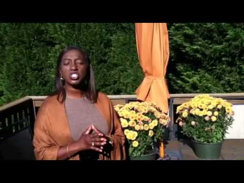A Woman For All Seasonings Introduction - YouTube