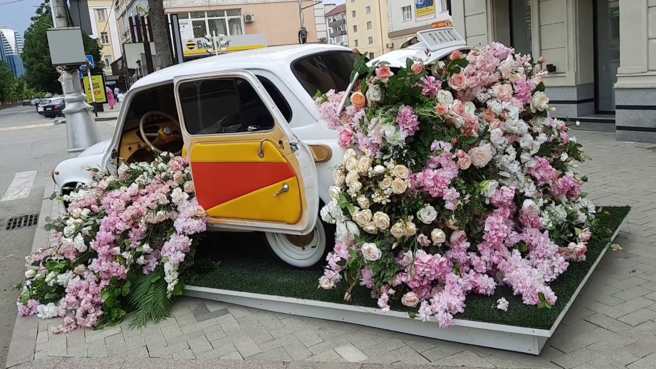 Цветы машина дождь