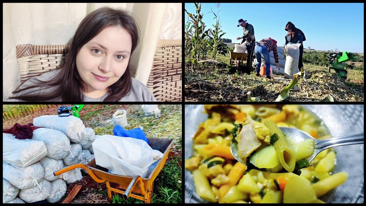 MEU DIA NA ROÇA FAZENDO SILAGEM EM UM DIA FRIO, FIZ SOPA PRA ESQUENTAR🥰 