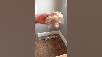 "Clean Your Caulk Up"