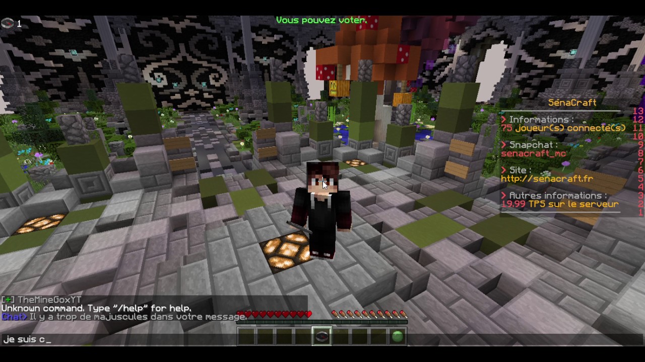 SénaCraft la Renaissance