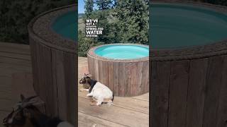 DIY Off-Grid Stock Tank Hot Tub #idaho #homestead #life #happy #healthy #home