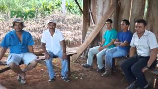 Campesinos denuncian que asociación ilícita quiere apropiarse de sus tierras