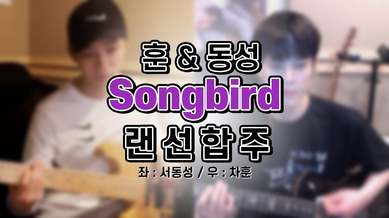 [차훈/서동성] 엔플라잉 훈과 동성이의 songbird 랜선 합주 (좌 동성 / 우 차훈)