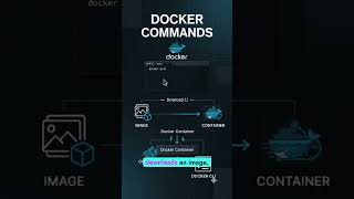 15 Docker Commands Every DevOps Engineer Should Know 🐳