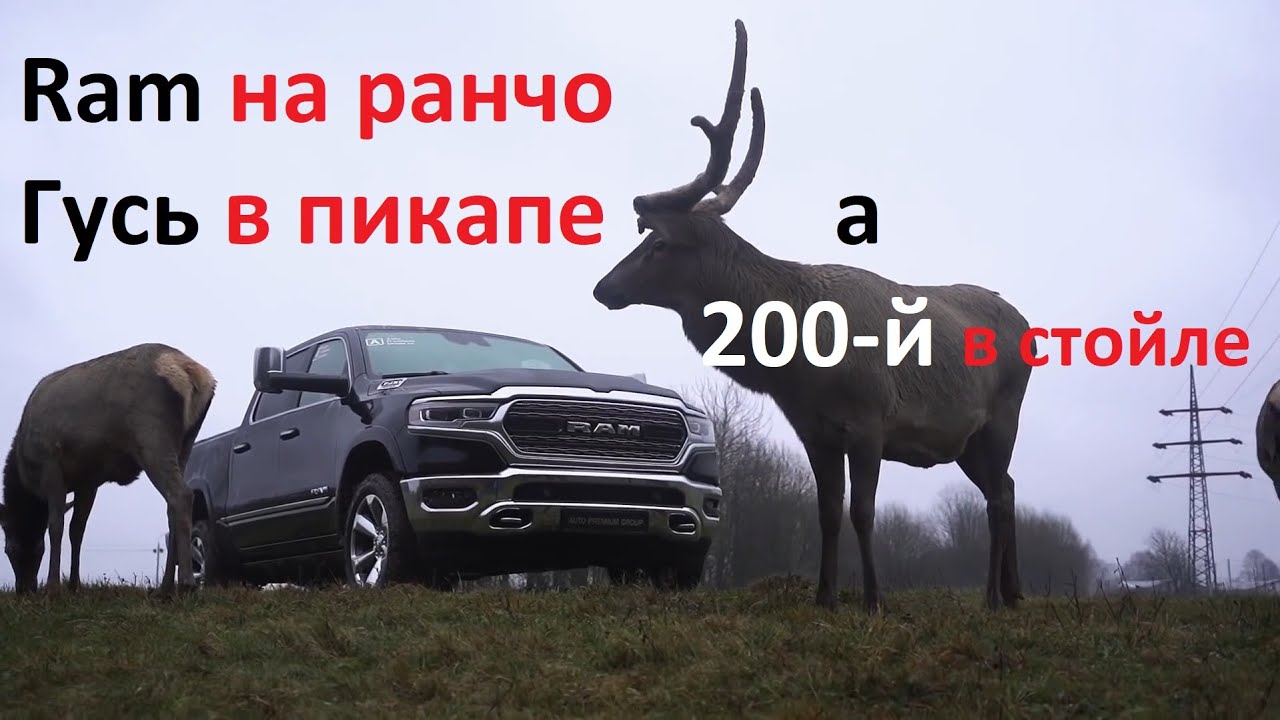 Перевод слова dodge