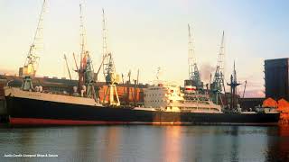 S.S. Wayfarer Steam Whistle (Audio Recording)