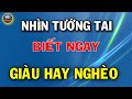 Muốn Biết VẬN MỆNH SƯỚNG KHỔ, Giàu Nghèo Chỉ Cần NHÌN Tướng Tai Là Biết