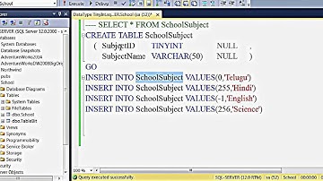 SQL Server Data Type - Tiny Int (English)