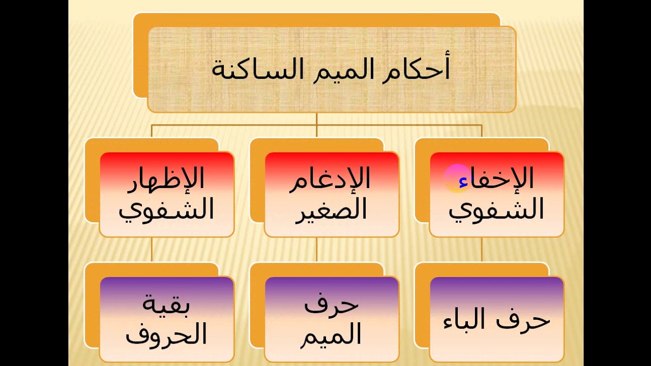 الاول الفصل تجويد خامس موقع كتبي