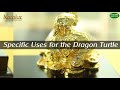 How to use the Dragon Turtle in Feng Shui to attract the fortune for your family