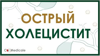 Острый холецистит - краткий обзор патогенеза