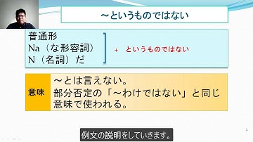 1. N2 ～というものではない