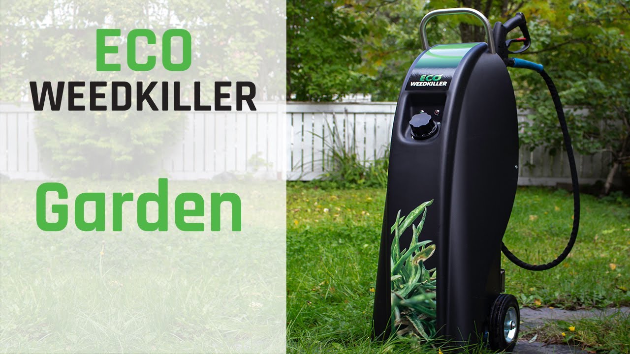 Eco Weedkiller Garden YouTube