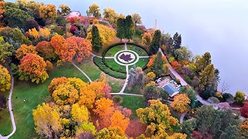 Stunning Maple Red Leaves in High Park | Fall Colors in Toronto, Canada || Magical Autumn 🍂