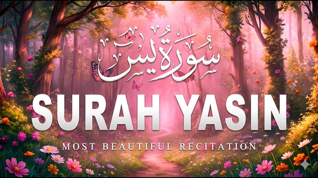 Surah Yasin (Yaseen) | Full With Arabic Text | Ep - 00023 #surahyasin