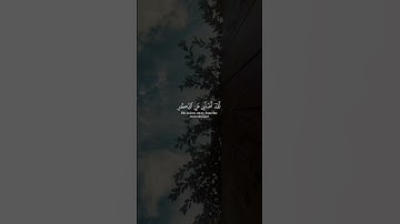 ويوم يعض الظالم على يديه | القارئ عبدالرحمن مسعد |قرآن كريم ..♡