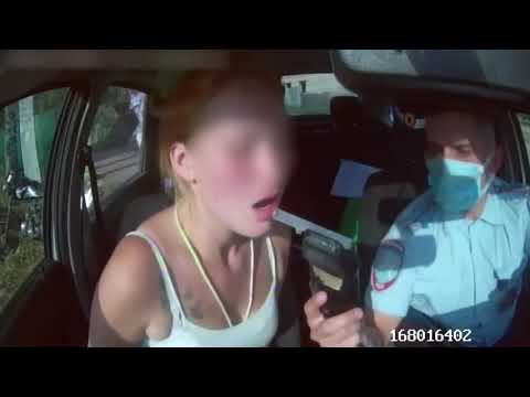Free Girl Fight Videos