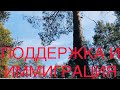 МОРАЛЬНАЯ ПОДДЕРЖКА И ИММИГРАЦИЯ/ ВЗАИМООТНОШЕНИЯ И ГОРОСКОП