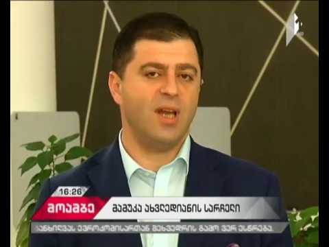 მამუკა ახვლედიანმა პატივისა და ღირსების შელახვისთვის მმართველი გუნდის წევრებს უჩივლა