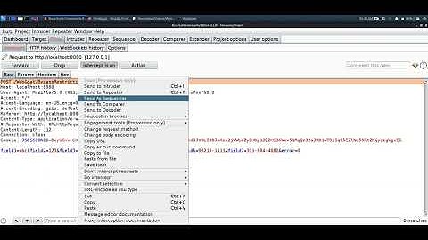 WebGoat 8   Bypass front end restrictions   Validation