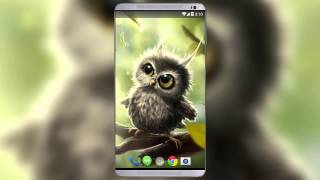 Owl Chick Live Wallpaper
