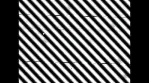 Dielectrophoresis cells and particles separation