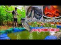 പടുതാക്കുളത്തിൽ ചൂണ്ട ഇട്ടാലോ 🎣🎣 | thilapiya fishing in paduthakulam | tilapia | Green Factory