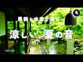 【睡眠用BGM・水の音 睡眠・ASMR】風鈴が奏でる夏の音で朝までぐっすり眠る。静かな水辺で過ごす癒やしの時間|自然音|環境音|音楽なし|立体音響|涼しい音|自然音 睡眠|ONS-0401