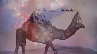 Enigma,   Mea Culpa (Part II   Fading Shades Mix)