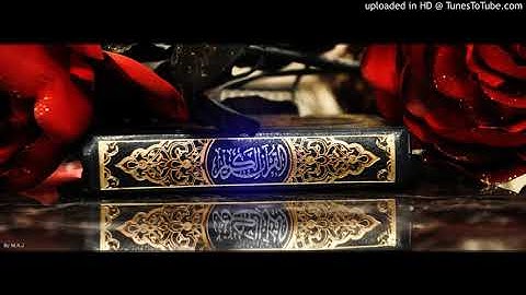 سورة البقرة الاية 102-105 لقارئ مشاري العفاسي