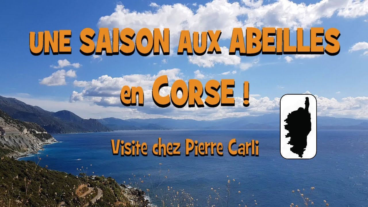 Une SAISON aux ABEILLES en CORSE !  Visite chez Pierre Carli - YouTube