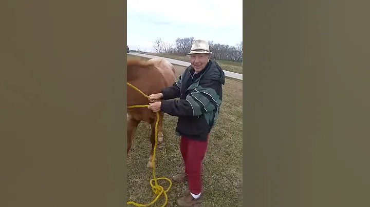 CRAZY HORSE turns out to be PATRIOT!!!