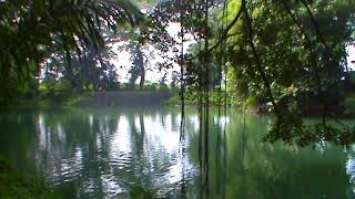 Download Lagu Kekuatan Serta Penghiburan Diberikan Tuhan pada Ku | Lagu Pujian Rohani MP3