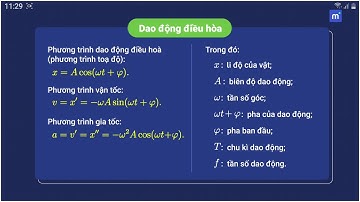 Khảo sát dao động của con lắc lò xo về mặt động lực học